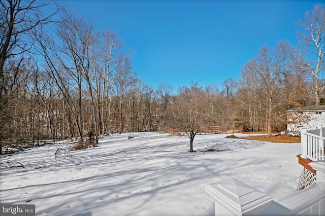 view of snowy yard