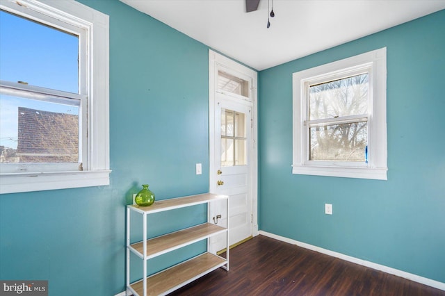 entryway with dark hardwood / wood-style floors