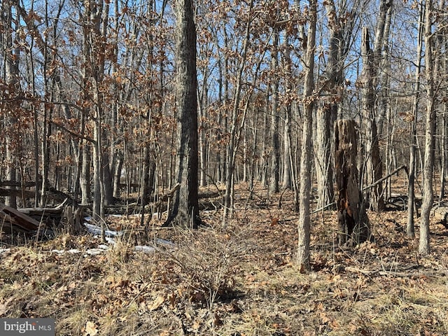 LOT13 Sawmill Dr, Gore VA, 22637 land for sale