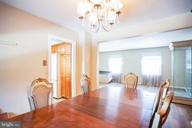 dining room with light hardwood / wood-style flooring and a notable chandelier