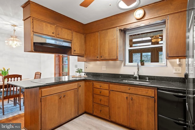 kitchen featuring dishwasher, sink, black electric stovetop, kitchen peninsula, and light hardwood / wood-style flooring