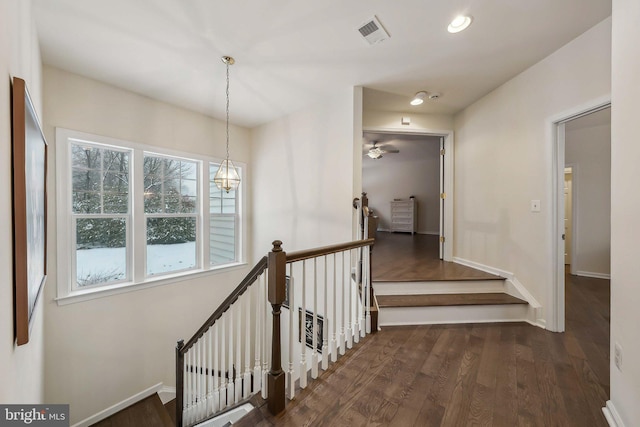 hallway with dark wood-type flooring