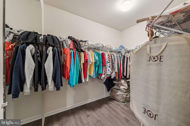 walk in closet with wood-type flooring