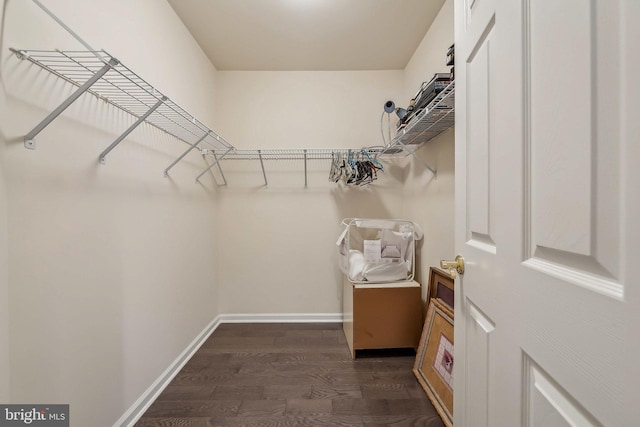 spacious closet featuring dark hardwood / wood-style floors