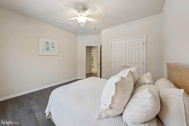 bedroom featuring ceiling fan, dark hardwood / wood-style flooring, and a closet