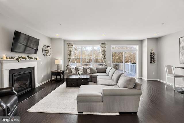 living room featuring dark hardwood / wood-style flooring