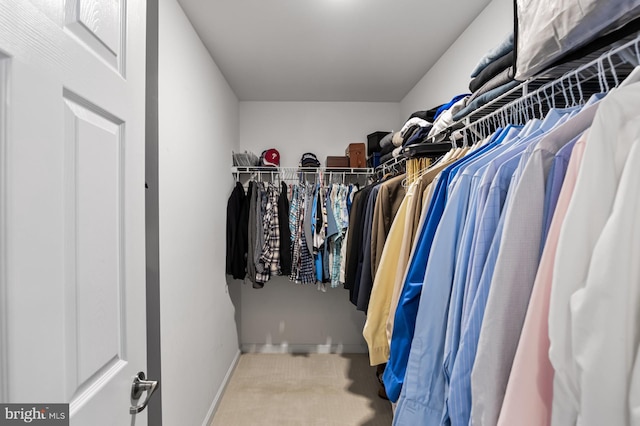 walk in closet featuring carpet floors