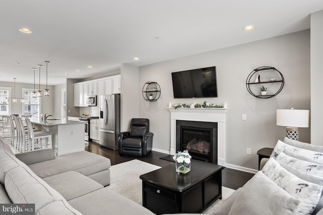 living room with dark hardwood / wood-style flooring and sink