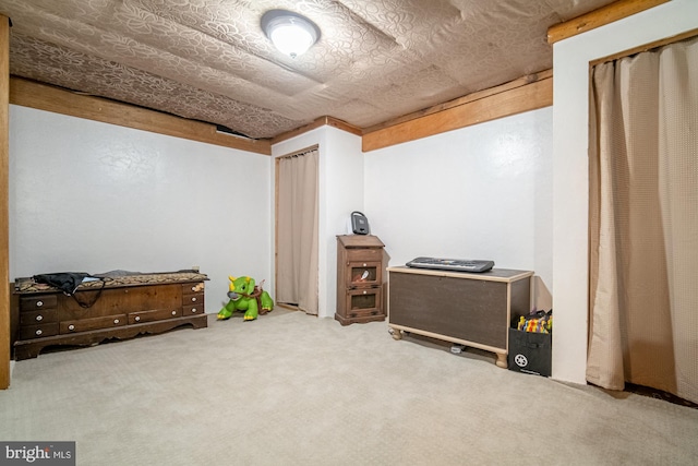 miscellaneous room featuring carpet floors