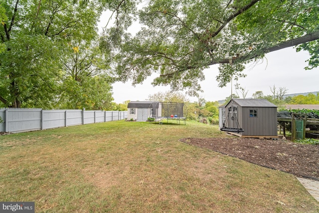 view of yard with a trampoline and a shed