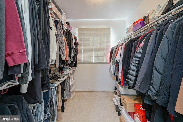 spacious closet featuring light colored carpet