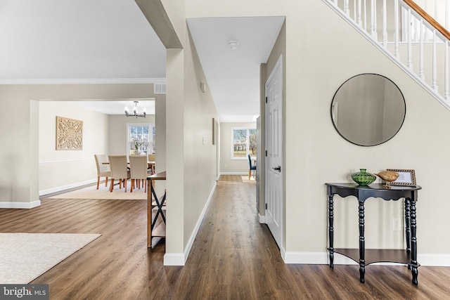 corridor featuring crown molding, dark hardwood / wood-style floors, and a notable chandelier