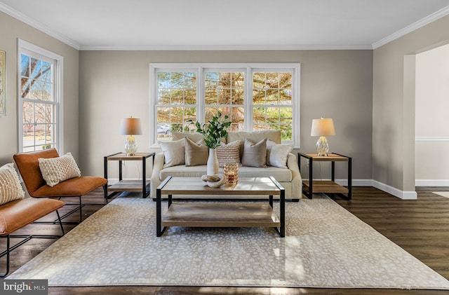 living room with crown molding and dark hardwood / wood-style flooring