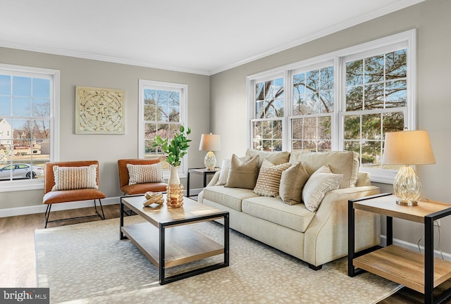 living room featuring ornamental molding, a healthy amount of sunlight, and wood-type flooring