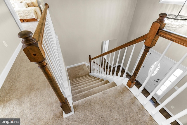 stairway featuring carpet flooring