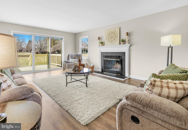 living room featuring hardwood / wood-style floors and a fireplace