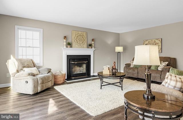 living room with wood-type flooring