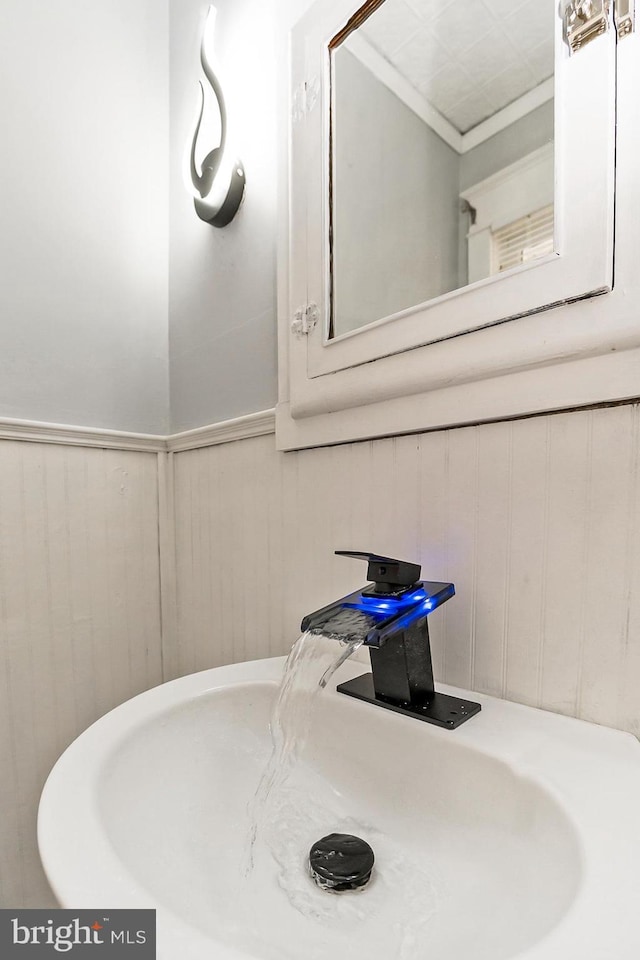 bathroom featuring sink and ornamental molding