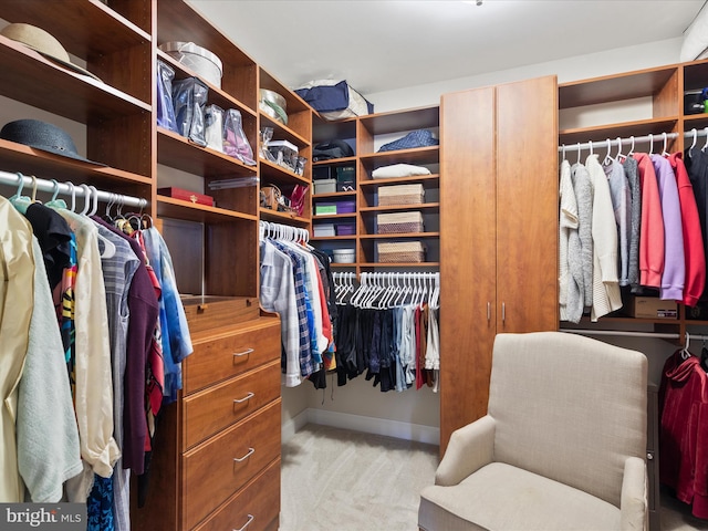 walk in closet with light carpet