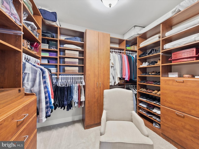 spacious closet with light carpet