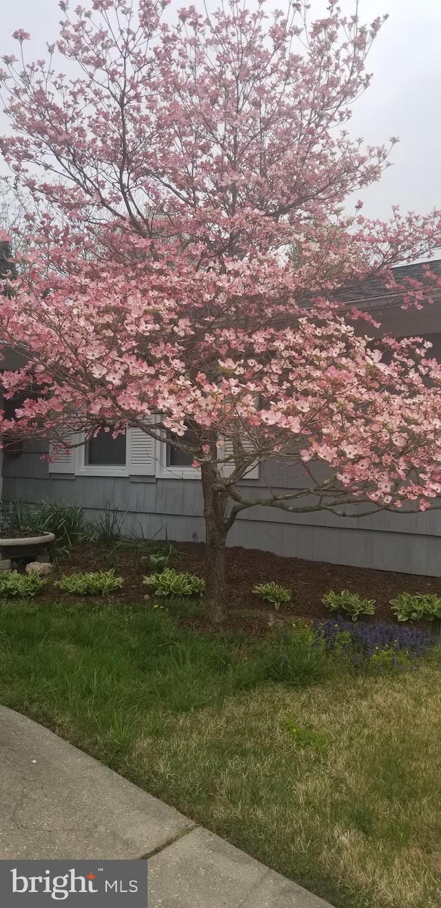 view of side of home with a yard