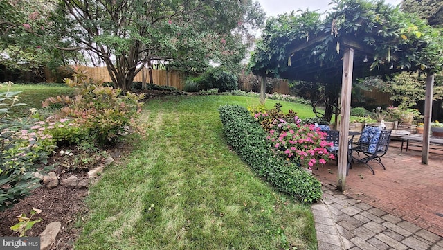 view of yard featuring a patio