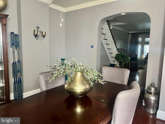 dining space featuring crown molding and hardwood / wood-style floors