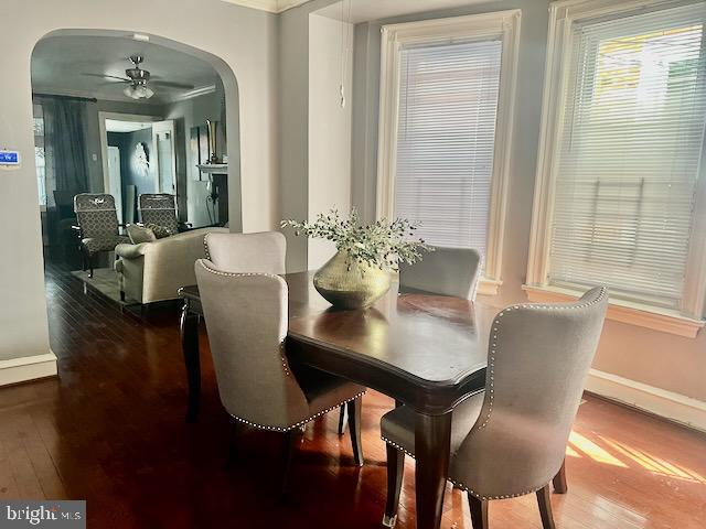 dining area featuring ceiling fan and hardwood / wood-style floors