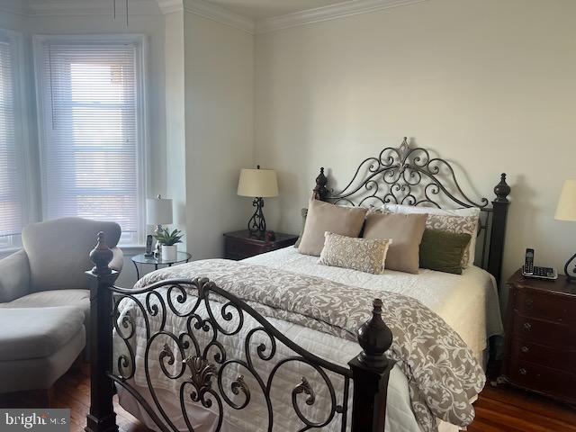 bedroom featuring crown molding and dark hardwood / wood-style flooring