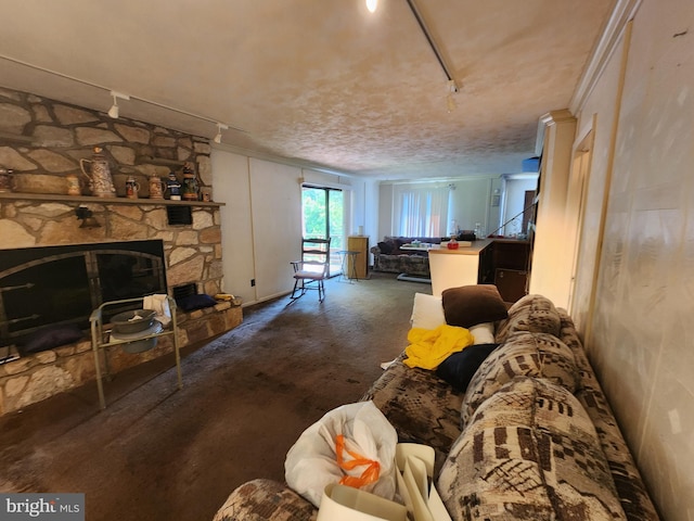 980 Creek Rd, Downingtown, PA 19335 - living room featuring rail lighting and a fireplace