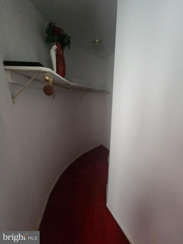 980 Creek Rd, Downingtown, PA 19335 - spacious closet with arched walkways