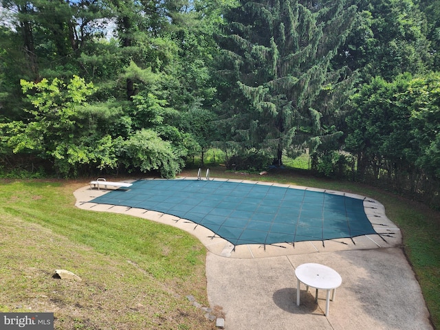 980 Creek Rd, Downingtown, PA 19335 - view of swimming pool featuring a diving board, a yard, a covered pool, a patio area, and a forest view