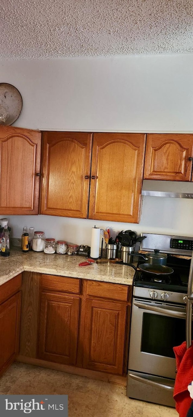 kitchen with exhaust hood and stainless steel range oven