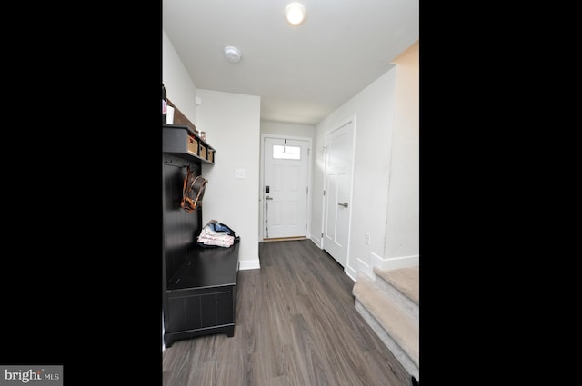 mudroom with dark hardwood / wood-style floors