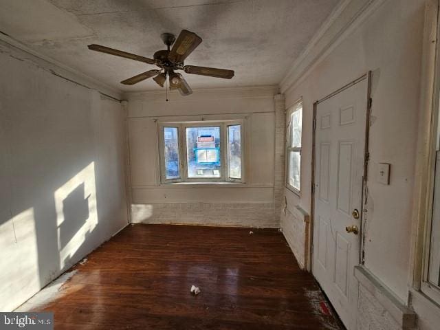 interior space with dark wood-type flooring, ceiling fan, and ornamental molding