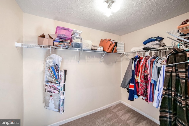 walk in closet featuring carpet