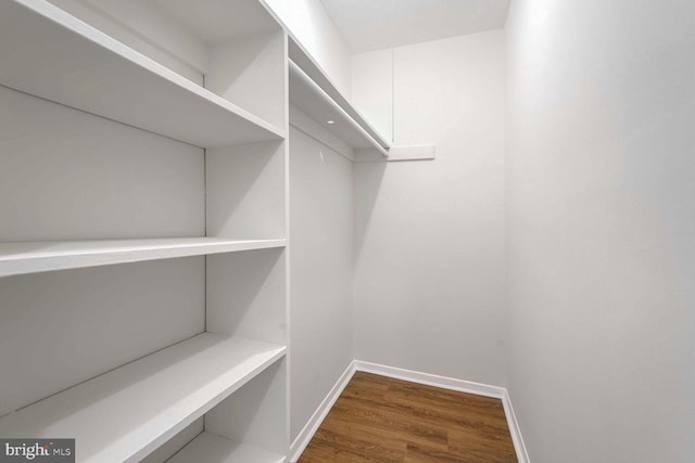 walk in closet featuring dark wood-type flooring