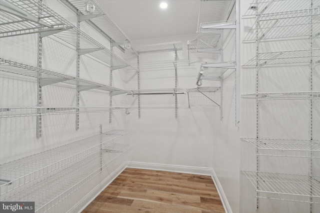 spacious closet with wood-type flooring