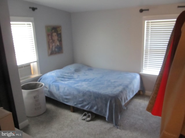 348 Broad St, Mount Holly, NJ 08060 - bedroom with multiple windows and carpet flooring