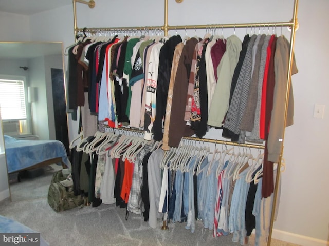 348 Broad St, Mount Holly, NJ 08060 - walk in closet featuring carpet flooring