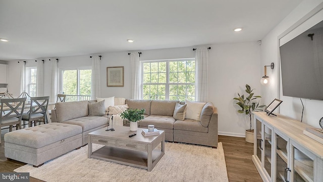 living room with hardwood / wood-style floors