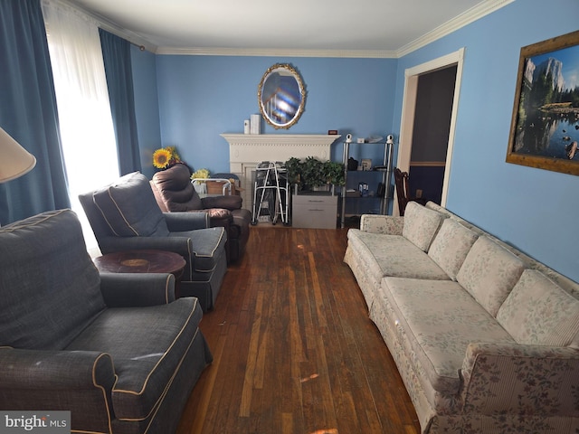 living room with dark hardwood / wood-style flooring and ornamental molding