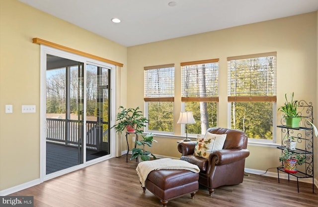 sitting room featuring dark hardwood / wood-style flooring and a wealth of natural light