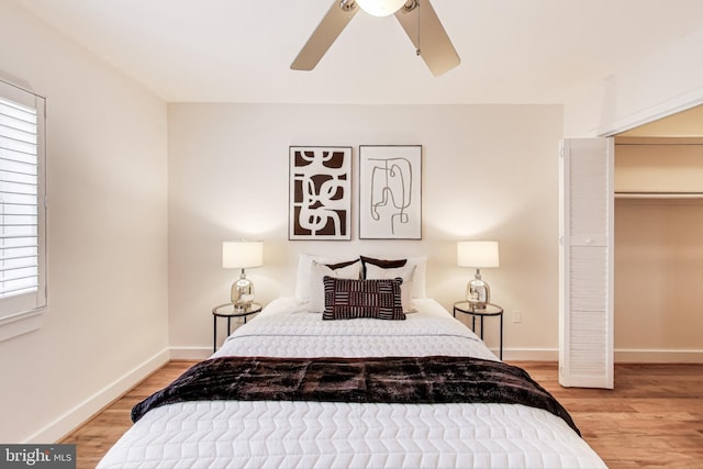 bedroom featuring ceiling fan, a spacious closet, a closet, and light hardwood / wood-style flooring