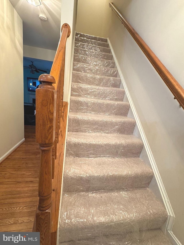 stairs featuring hardwood / wood-style floors