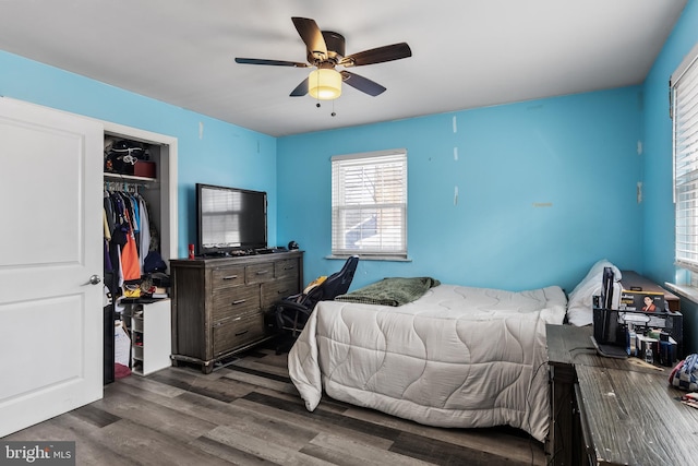 bedroom featuring wood-type flooring, a closet, and ceiling fan