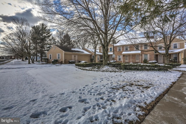 view of yard covered in snow