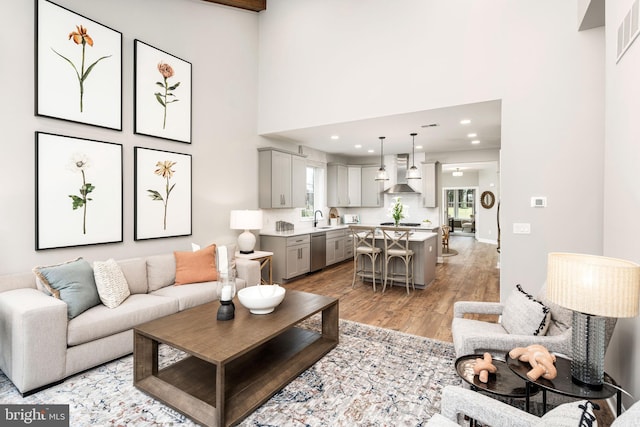 living room featuring sink and light hardwood / wood-style flooring