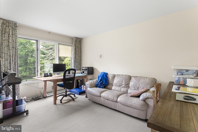 home office with carpet floors