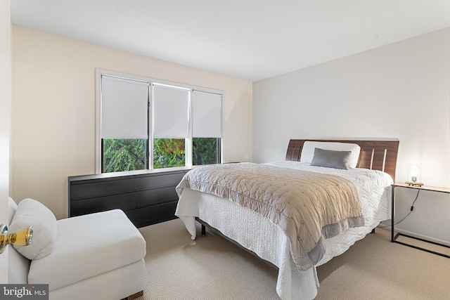 bedroom with carpet flooring